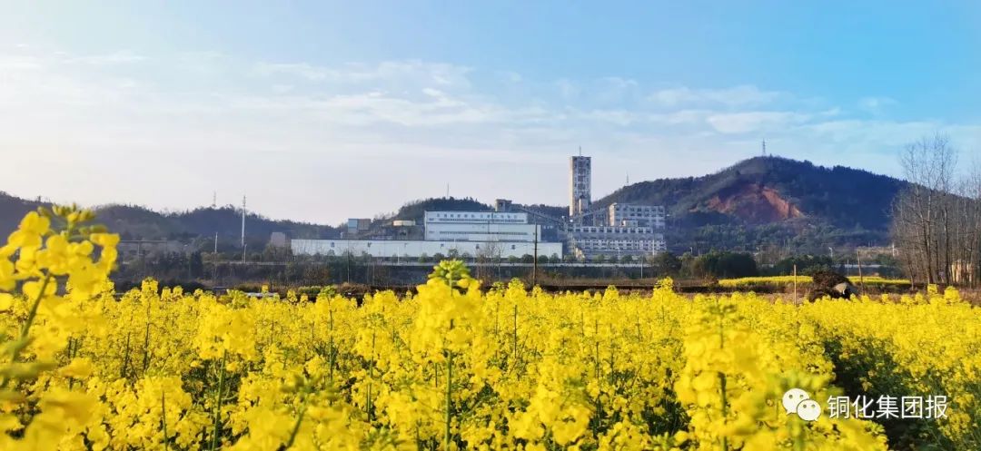 豪利777(OLE777)官方网站