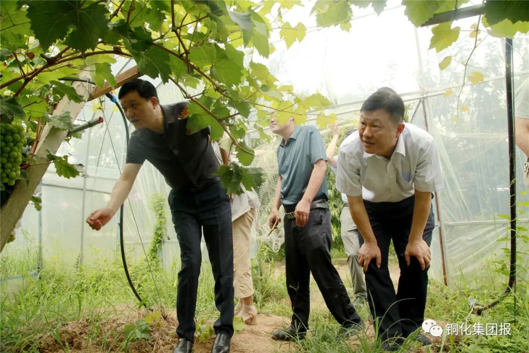 豪利777(OLE777)官方网站