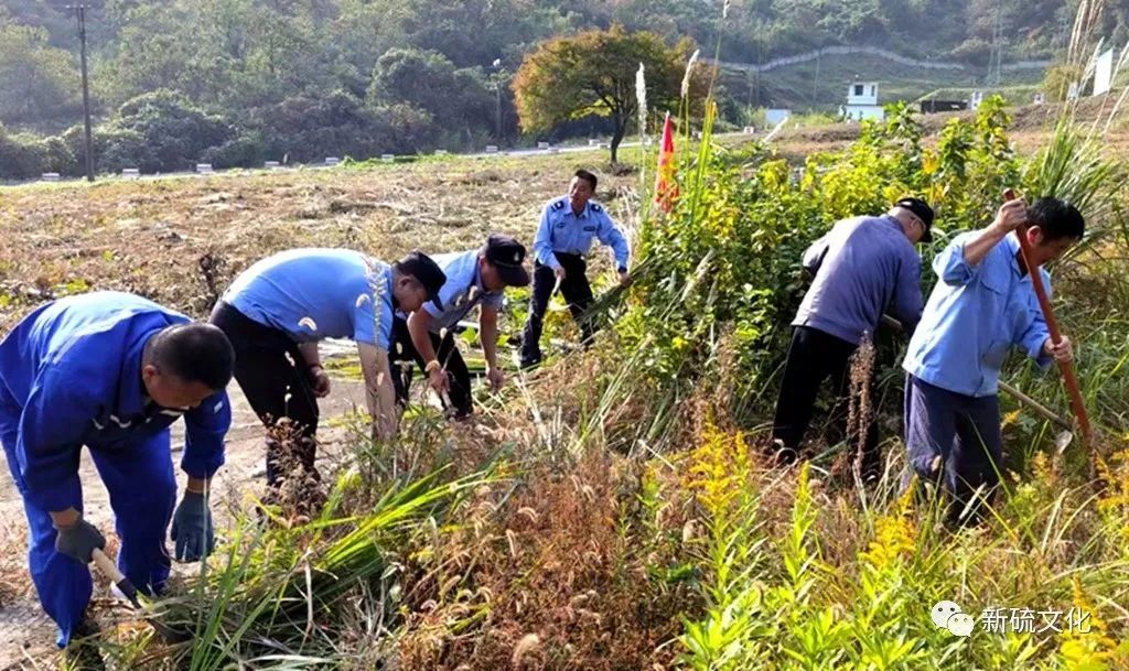 豪利777(OLE777)官方网站