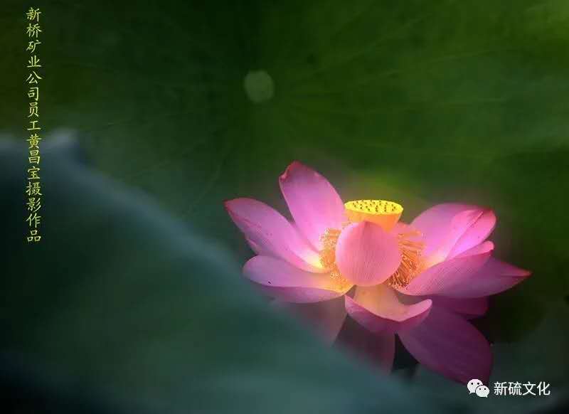 豪利777(OLE777)官方网站